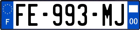 FE-993-MJ