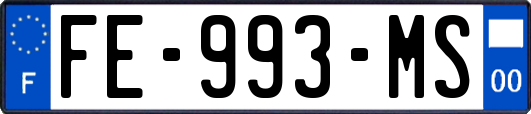 FE-993-MS