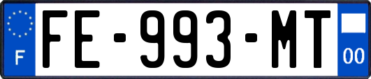 FE-993-MT