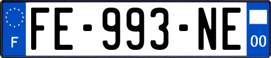 FE-993-NE