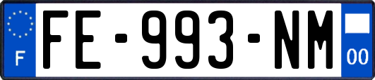 FE-993-NM