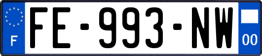 FE-993-NW