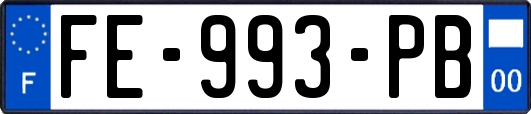 FE-993-PB