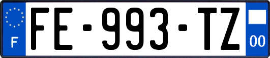 FE-993-TZ