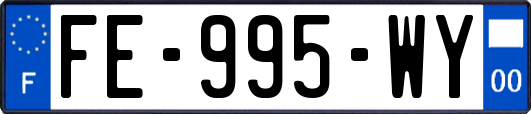 FE-995-WY