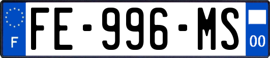 FE-996-MS