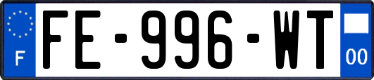 FE-996-WT