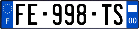 FE-998-TS