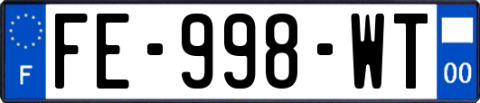 FE-998-WT