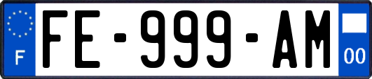 FE-999-AM