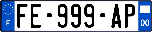 FE-999-AP