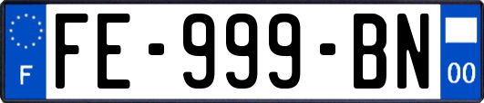 FE-999-BN
