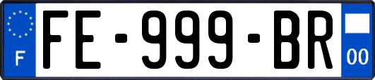 FE-999-BR