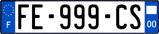 FE-999-CS