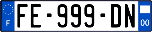 FE-999-DN