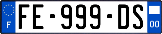 FE-999-DS