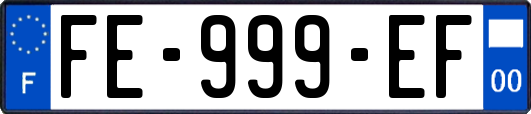FE-999-EF
