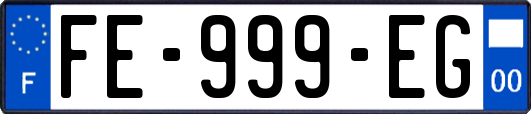 FE-999-EG