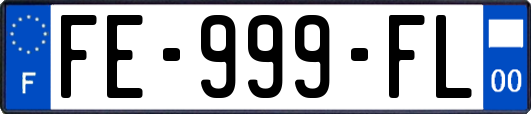 FE-999-FL