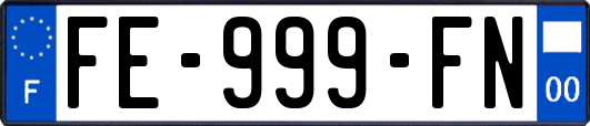 FE-999-FN