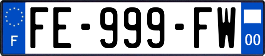 FE-999-FW