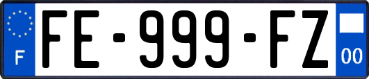 FE-999-FZ