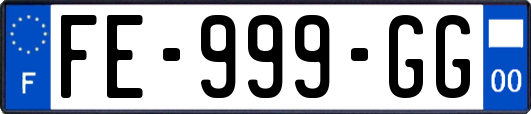 FE-999-GG