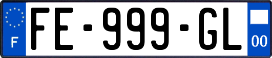 FE-999-GL