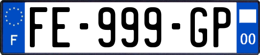 FE-999-GP
