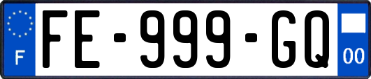 FE-999-GQ