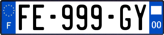 FE-999-GY