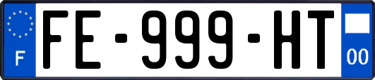FE-999-HT