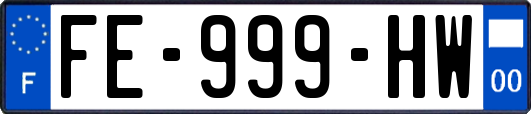 FE-999-HW