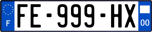 FE-999-HX