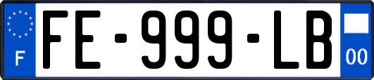 FE-999-LB
