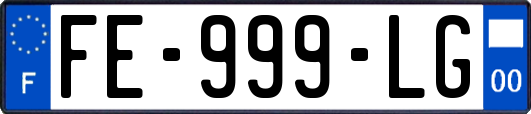FE-999-LG