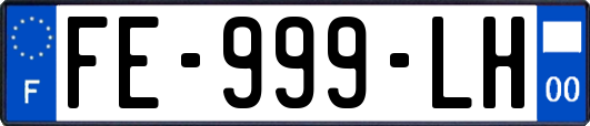 FE-999-LH