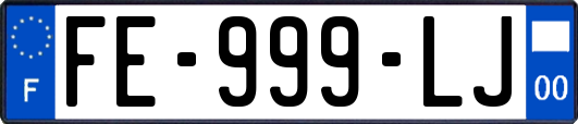 FE-999-LJ