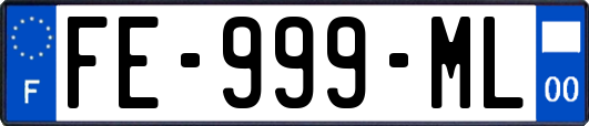 FE-999-ML