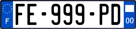 FE-999-PD