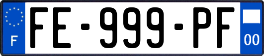 FE-999-PF