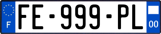 FE-999-PL