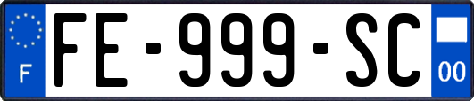 FE-999-SC