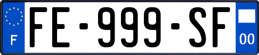 FE-999-SF