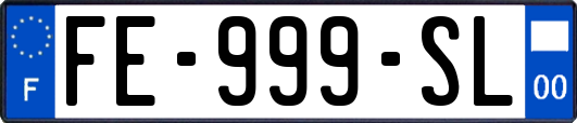 FE-999-SL