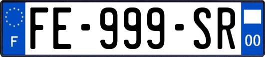 FE-999-SR