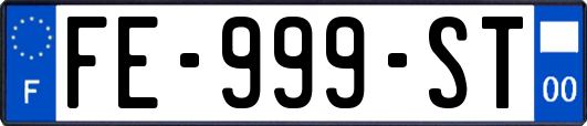 FE-999-ST