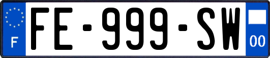FE-999-SW