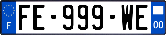 FE-999-WE
