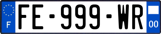 FE-999-WR